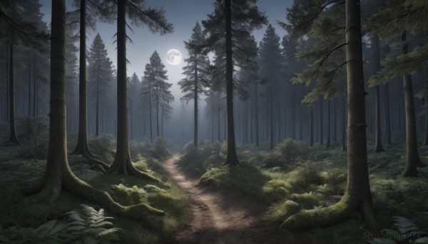 A peaceful image of a landscape in outdoors