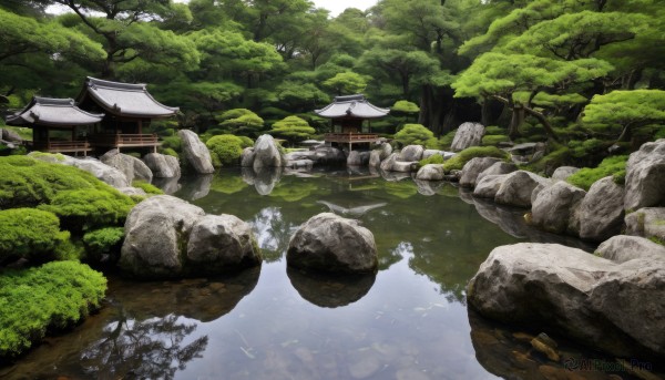 outdoors,day,water,tree,no humans,bird,nature,scenery,forest,reflection,rock,architecture,bridge,east asian architecture,river,landscape,stone,pond,stone lantern,stream,building