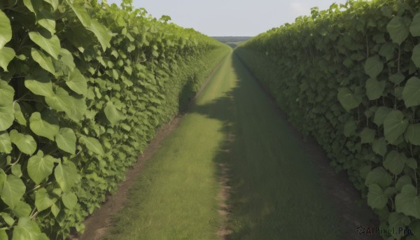 The allure of a landscape in a dynamic day