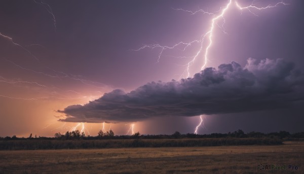 A dynamic view of a lightning in sunset outdoors