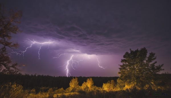 outdoors,sky,cloud,tree,no humans,night,cloudy sky,grass,nature,scenery,forest,electricity,lightning,landscape,purple sky,night sky,horizon,dark