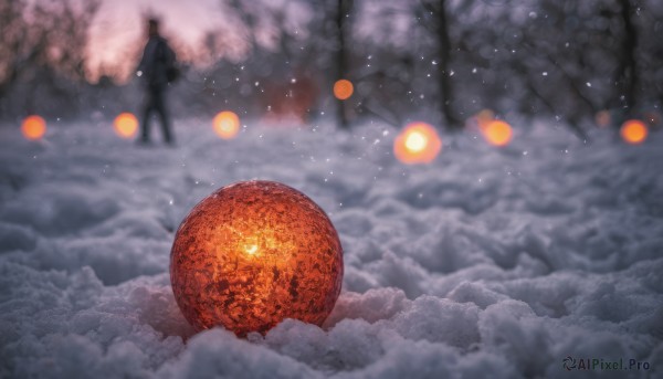 A charming snowy outdoors with a male