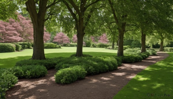 outdoors,day,tree,no humans,shadow,sunlight,grass,plant,cherry blossoms,nature,scenery,forest,road,bush,dappled sunlight,path,shade,tree shade