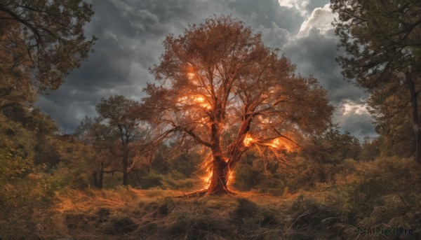A landscape captured beautifully in a tranquil fiery day