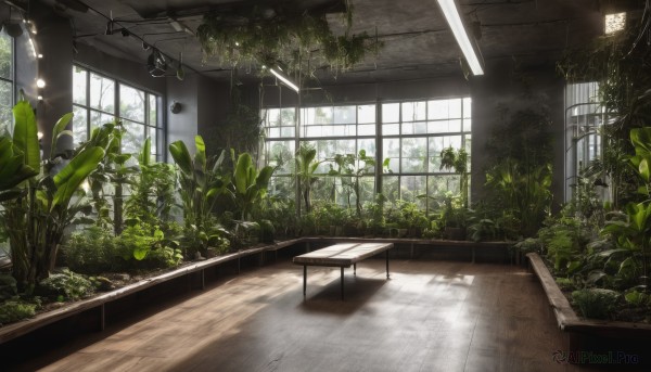 A charming day featuring a indoors