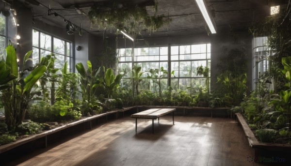 day,indoors,tree,no humans,window,chair,table,sunlight,plant,scenery,light rays,wooden floor,potted plant,light,ceiling,ceiling light,overgrown