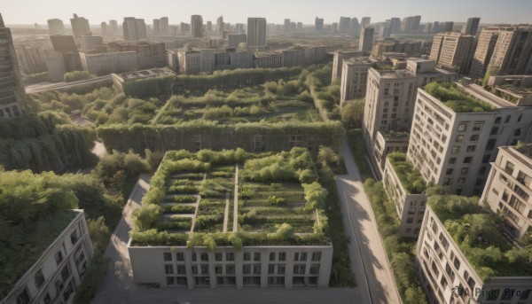 outdoors,sky,day,cloud,tree,no humans,window,building,scenery,city,cityscape,ruins,skyscraper,overgrown,post-apocalypse,real world location