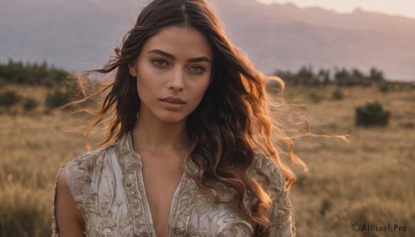 1girl,solo,long hair,looking at viewer,brown hair,black hair,dress,brown eyes,collarbone,upper body,outdoors,parted lips,sleeveless,day,white dress,blurry,tree,lips,depth of field,blurry background,wavy hair,messy hair,nature,curly hair,mountain,realistic,nose,field,straight-on,sky,floating hair,sunlight,thick eyebrows,wind,lace,backlighting