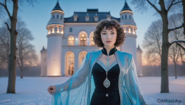 1girl,solo,breasts,looking at viewer,short hair,brown hair,black hair,long sleeves,dress,brown eyes,jewelry,upper body,outdoors,sky,day,necklace,blurry,black eyes,black dress,tree,lips,see-through,blurry background,watermark,building,gem,snow,curly hair,winter,bare tree,hair ornament,cleavage,standing,artist name,mole,wavy hair,realistic