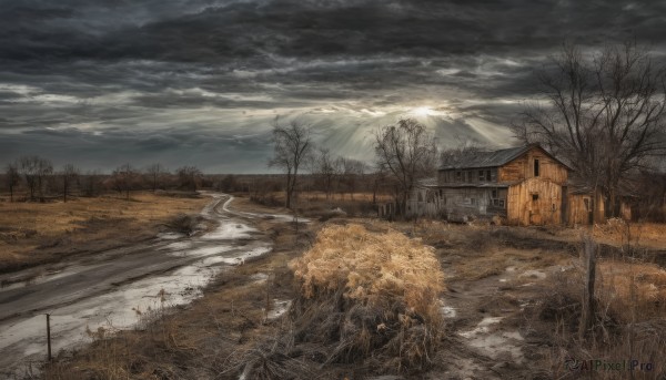 A landscape showcased in a vivid snowy outdoors