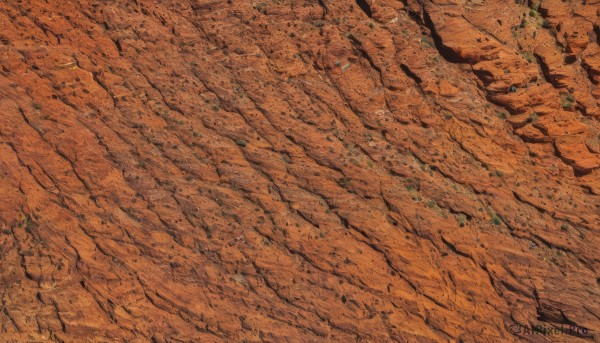 solo,outdoors,tree,no humans,from above,traditional media,nature,scenery,forest,landscape,orange theme,sand,road