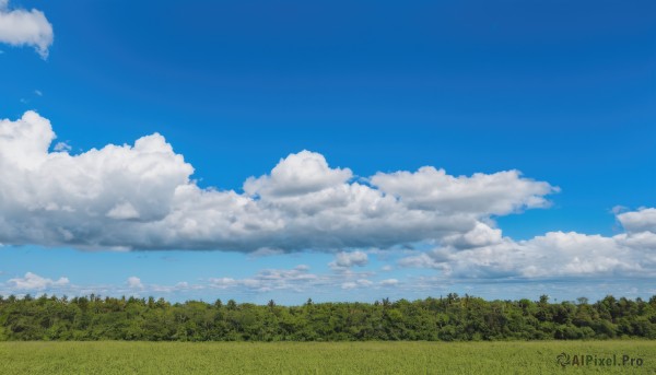 A tranquil day showcasing a landscape