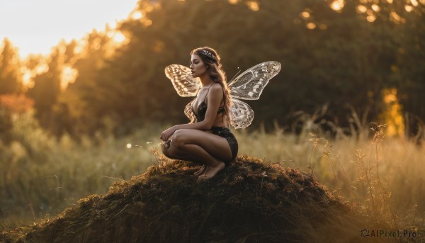 1girl,solo,long hair,breasts,blonde hair,black hair,closed eyes,outdoors,wings,barefoot,pointy ears,blurry,from side,blurry background,squatting,grass,nature,forest,realistic,fairy wings,fairy,cleavage,medium breasts,underwear,shorts,bra,tree,profile,depth of field,black shorts,bug,black bra,scenery,dragonfly