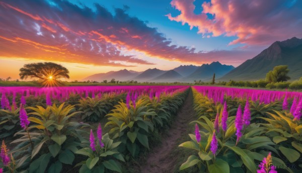 A landscape in the heart of a beautiful sunset outdoors