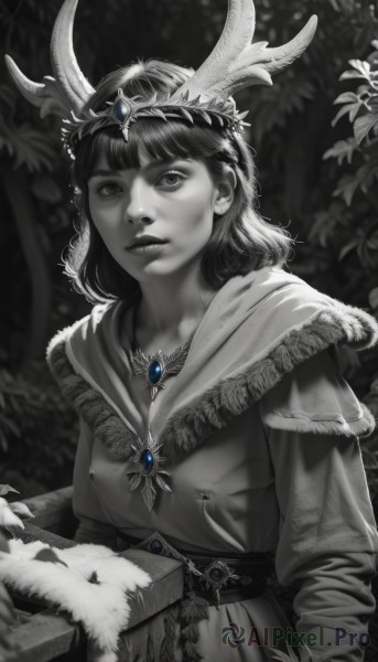 1girl,solo,breasts,looking at viewer,short hair,bangs,long sleeves,dress,jewelry,closed mouth,monochrome,upper body,greyscale,outdoors,parted lips,horns,belt,hood,blunt bangs,medium hair,necklace,blurry,tree,lips,fur trim,capelet,animal,brooch,gem,nature,realistic,nose,antlers,reindeer antlers,leaf