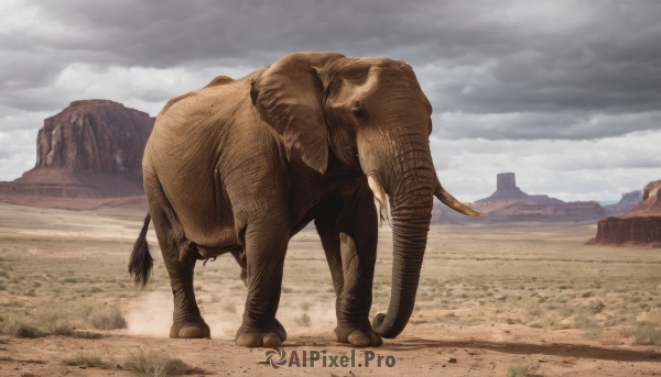 tail,outdoors,sky,day,cloud,no humans,animal,cloudy sky,grass,scenery,monster,mountain,realistic,tusks,solo,standing,animal focus,grey sky,desert