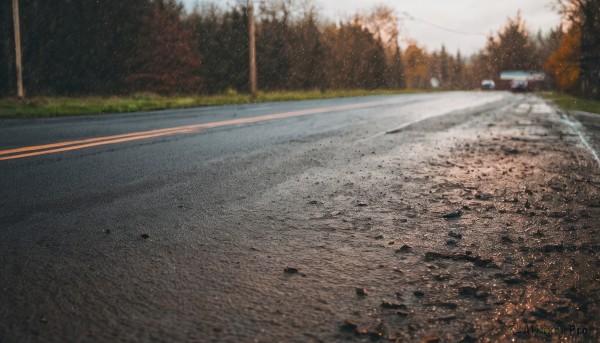 outdoors,day,tree,no humans,grass,ground vehicle,nature,scenery,motor vehicle,forest,realistic,car,road,street,photo background,sky,cloud,blurry,building,snow