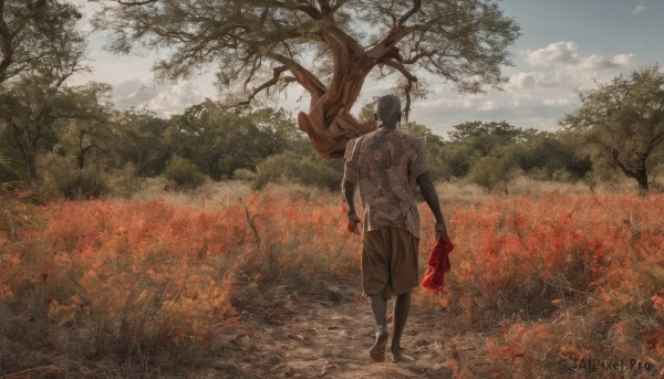 A male portrayed in a refreshing day