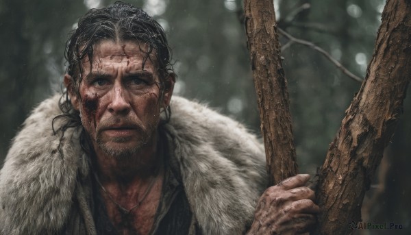 solo,looking at viewer,black hair,1boy,holding,jewelry,male focus,necklace,blurry,black eyes,tree,fur trim,blood,depth of field,blurry background,facial hair,scar,portrait,beard,scar on face,blood on face,realistic,stubble,branch,fur coat,closed mouth,upper body,earrings,black shirt