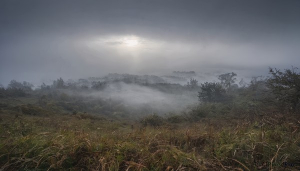 A unique view of a landscape in day