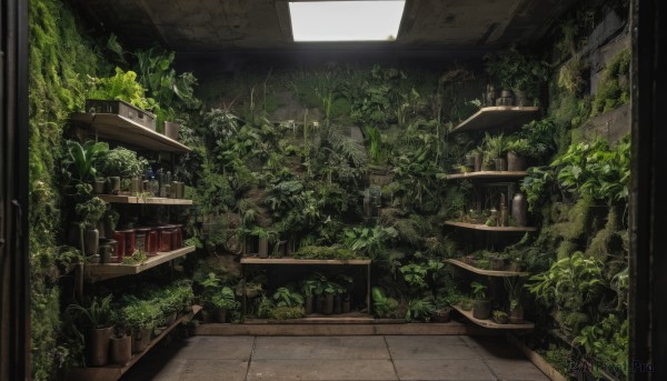 A indoors amidst a calm day