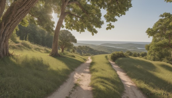 outdoors,sky,day,water,tree,blue sky,no humans,ocean,beach,sunlight,grass,plant,nature,scenery,forest,horizon,road,bush,river,landscape,shore,path,hill,cloud,shadow