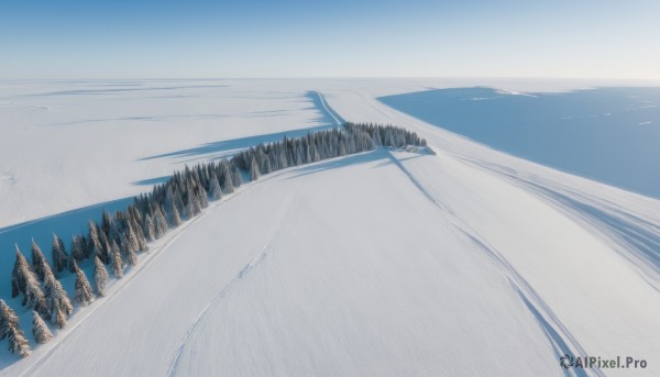 A landscape in a dynamic snowy day