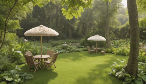 outdoors,day,tree,no humans,leaf,chair,sunlight,grass,plant,nature,scenery,forest,bush,mushroom,green theme,moss,shadow,umbrella,table,rock,shade,landscape,path,tree stump