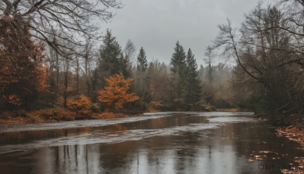 outdoors,sky,day,cloud,water,tree,no humans,leaf,cloudy sky,nature,scenery,forest,reflection,autumn leaves,winter,bare tree,autumn,fog,grey sky,reflective water,signature,dutch angle,rain,road,river,landscape,lake,puddle,overcast