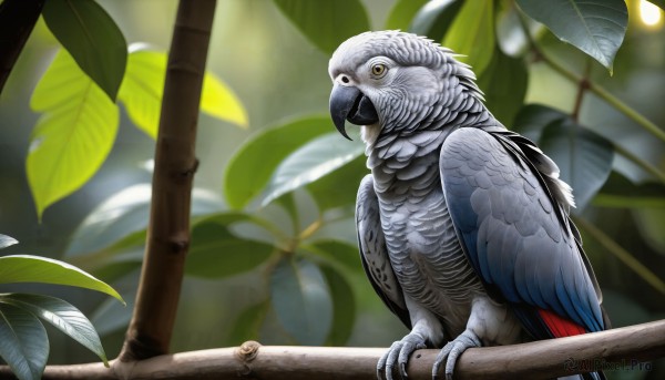 HQ,solo,closed mouth,yellow eyes,outdoors,day,blurry,tree,no humans,depth of field,blurry background,bird,animal,leaf,plant,nature,realistic,branch,animal focus,owl,talons,beak,looking at viewer,open mouth,feathers,parrot