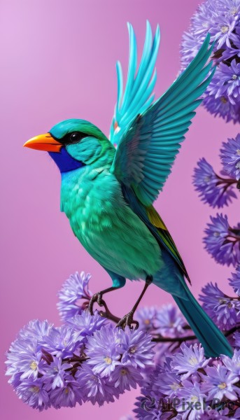 solo,simple background,closed mouth,full body,flower,blurry,black eyes,no humans,bird,animal,pink background,purple background,realistic,purple flower,branch,animal focus,talons,beak,artist name,gradient,gradient background,watermark,white flower