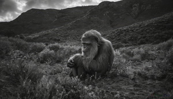 Image of a male in a fresh outdoors
