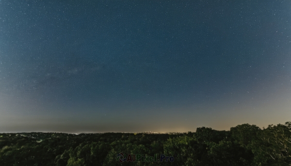 outdoors,sky,tree,no humans,night,star (sky),nature,night sky,scenery,forest,starry sky,horizon,landscape,star (symbol),ocean