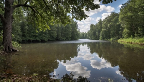 A serene day featuring a landscape