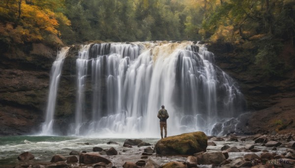 solo, 1boy, male focus, outdoors, water, from behind, tree, nature, scenery, forest, waterfall