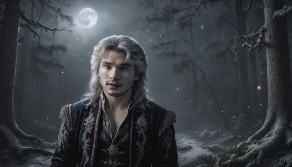 solo,long hair,looking at viewer,1boy,brown eyes,closed mouth,upper body,white hair,grey hair,male focus,outdoors,sky,tree,lips,night,facial hair,moon,nature,night sky,beard,snow,full moon,forest,realistic,bare tree,moonlight,smile,grey eyes,glowing,stubble,fireflies