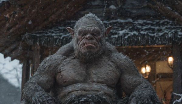 A majestic snowy outdoors featuring a male