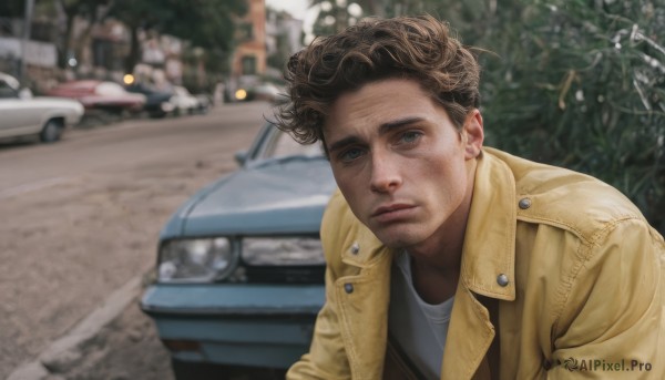 solo,looking at viewer,short hair,blue eyes,brown hair,shirt,1boy,closed mouth,jacket,white shirt,upper body,male focus,outdoors,day,blurry,blurry background,facial hair,ground vehicle,grey shirt,motor vehicle,curly hair,brown jacket,realistic,car,road,yellow jacket,photo background,open clothes,open jacket,tree,depth of field,expressionless