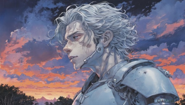 solo,short hair,blue eyes,1boy,closed mouth,upper body,white hair,grey hair,male focus,outdoors,sky,cloud,armor,from side,tree,profile,scar,cloudy sky,shoulder armor,portrait,nature,pauldrons,sunset,injury,twilight,looking ahead,parted lips,lips,messy hair,scar on face,forest,headset,breastplate,blood on face,dirty,dirty face