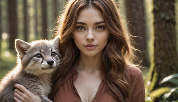 1girl,solo,long hair,breasts,looking at viewer,smile,brown hair,shirt,holding,cleavage,brown eyes,medium breasts,closed mouth,upper body,outdoors,collared shirt,blurry,tree,lips,eyelashes,depth of field,blurry background,animal,wavy hair,cat,red shirt,nature,forest,realistic,nose,holding animal,bokeh,parted lips,teeth,day,sunlight,thick eyebrows,plant,unbuttoned,partially unbuttoned,holding cat