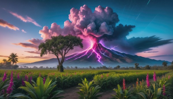 flower, outdoors, sky, cloud, tree, no humans, night, cloudy sky, grass, star (sky), night sky, scenery, starry sky, sunset, mountain, lightning, shooting star