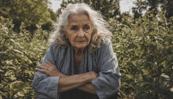 solo,long hair,looking at viewer,blue eyes,long sleeves,1boy,jewelry,closed mouth,upper body,white hair,male focus,earrings,outdoors,day,blurry,tree,blurry background,facial hair,crossed arms,ring,plant,beard,realistic,old,old man,arm hair,old woman,wrinkled skin,1girl,japanese clothes,lips,grey eyes,scar,scar on face