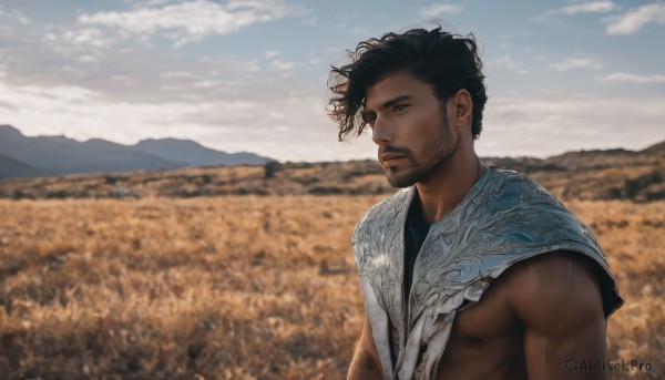 solo,short hair,black hair,1boy,closed mouth,nipples,upper body,male focus,outdoors,sky,day,cloud,dark skin,blurry,looking to the side,muscular,blurry background,facial hair,dark-skinned male,pectorals,beard,curly hair,mountain,mature male,realistic,looking afar,field,black eyes,blue sky,cloudy sky,muscular male,wind