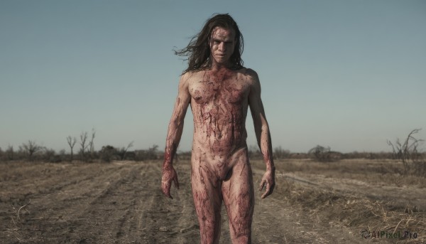 solo,long hair,looking at viewer,brown hair,black hair,1boy,navel,closed mouth,nipples,standing,male focus,nude,outdoors,sky,day,signature,tree,completely nude,blood,scar,realistic,arms at sides,field,horror (theme),penis,pubic hair,feet out of frame,facial hair,parody,testicles,grass,pectorals,male pubic hair,facing viewer,photo background,flaccid