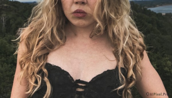 The beauty of a female set in a captivating day