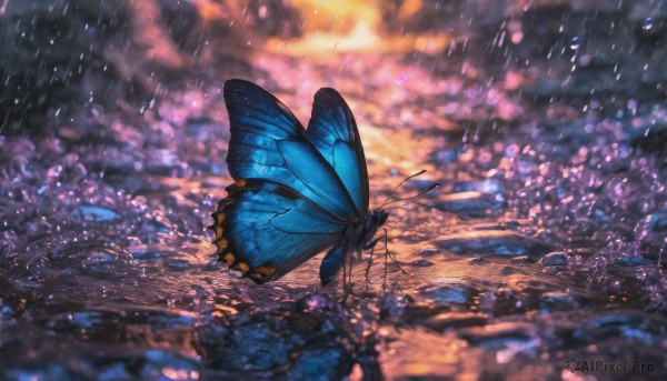 1girl, solo, outdoors, wings, sky, cloud, blurry, dutch angle, no humans, depth of field, cloudy sky, bug, butterfly, scenery, rain, butterfly wings