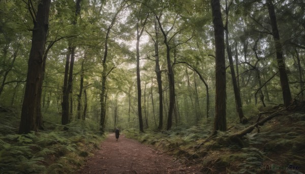 A stunning portrayal of a unique subject in a lush day