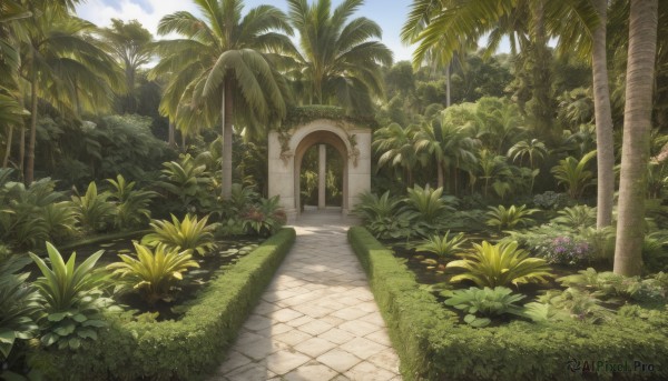 A glimpse of a garden in a lush day