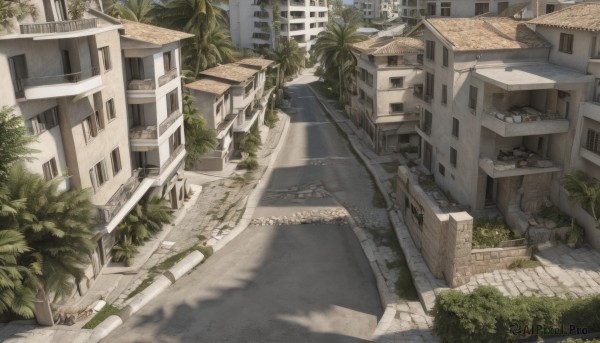 A tranquil view of a street in day
