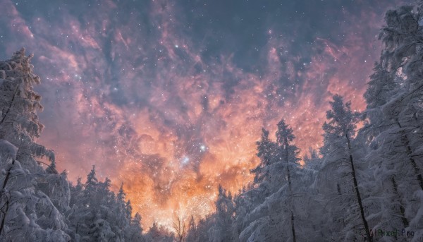 outdoors,sky,cloud,tree,no humans,night,cloudy sky,fire,plant,star (sky),nature,night sky,scenery,light particles,starry sky,ruins,snow,forest,pine tree